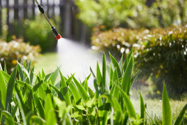 24/7 Emergency Wasp Removal experts in Somerset, WI