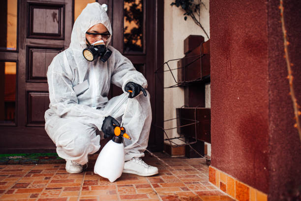 Reliable Wasp Removal contractor in Somerset, WI by Show Me Pest Control